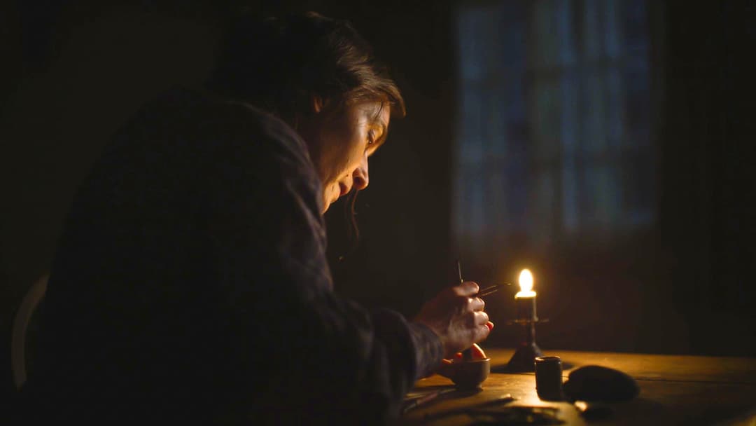 Ammonite backdrop 13