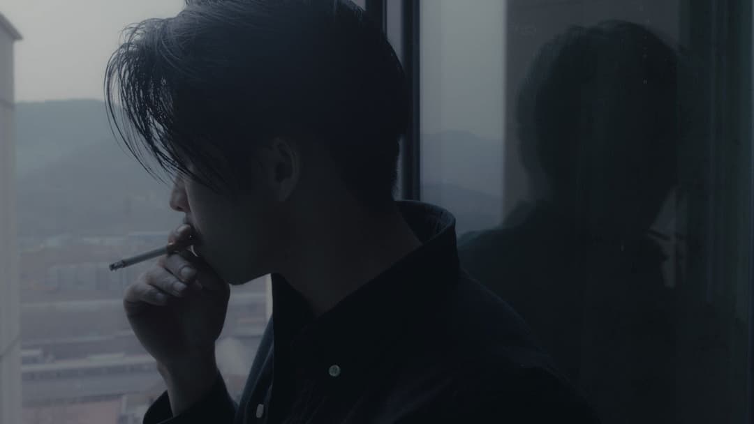 An Elephant Sitting Still backdrop 7