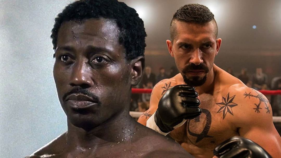 Undisputed backdrop 8