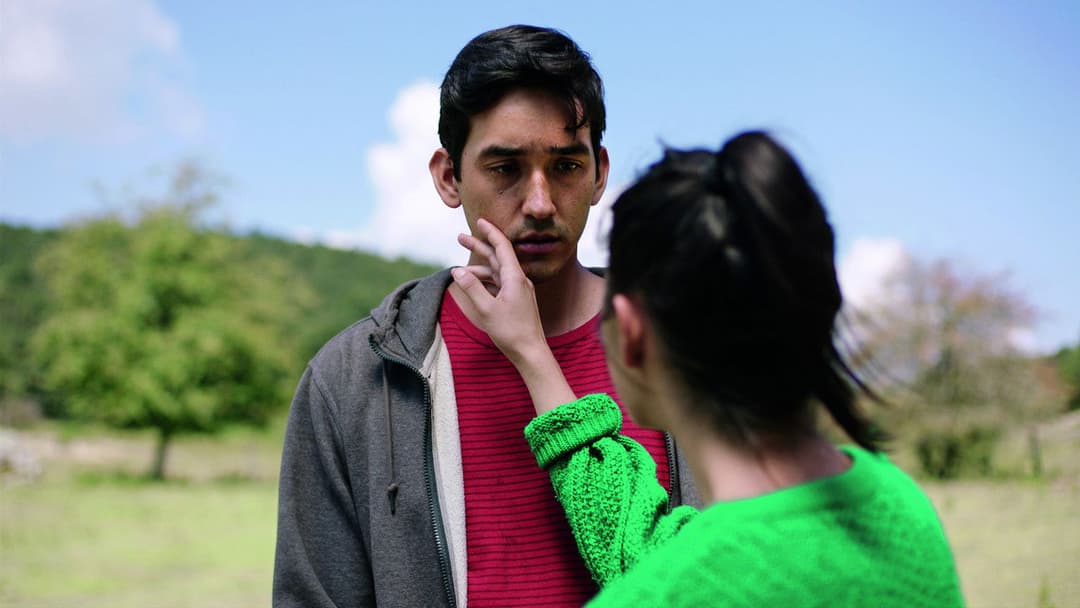 Дикий регіон backdrop 13