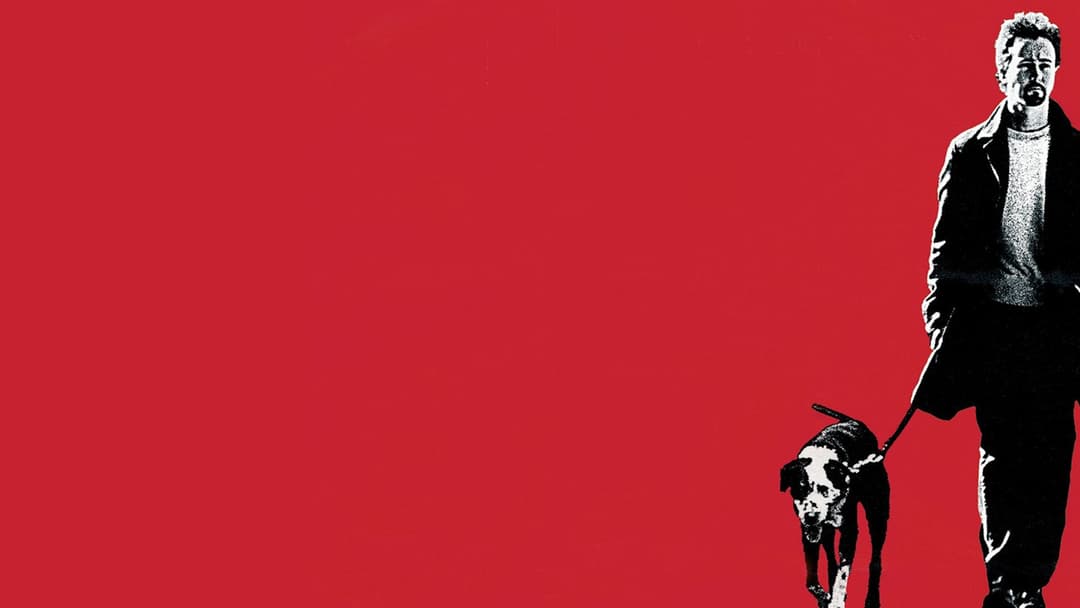 25th Hour backdrop 15