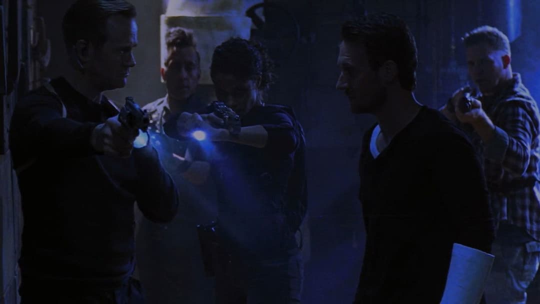 The Collection backdrop 5