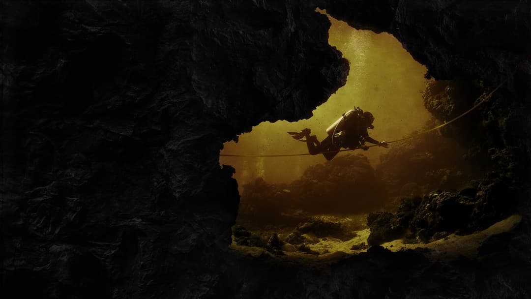 The Rescue backdrop 2