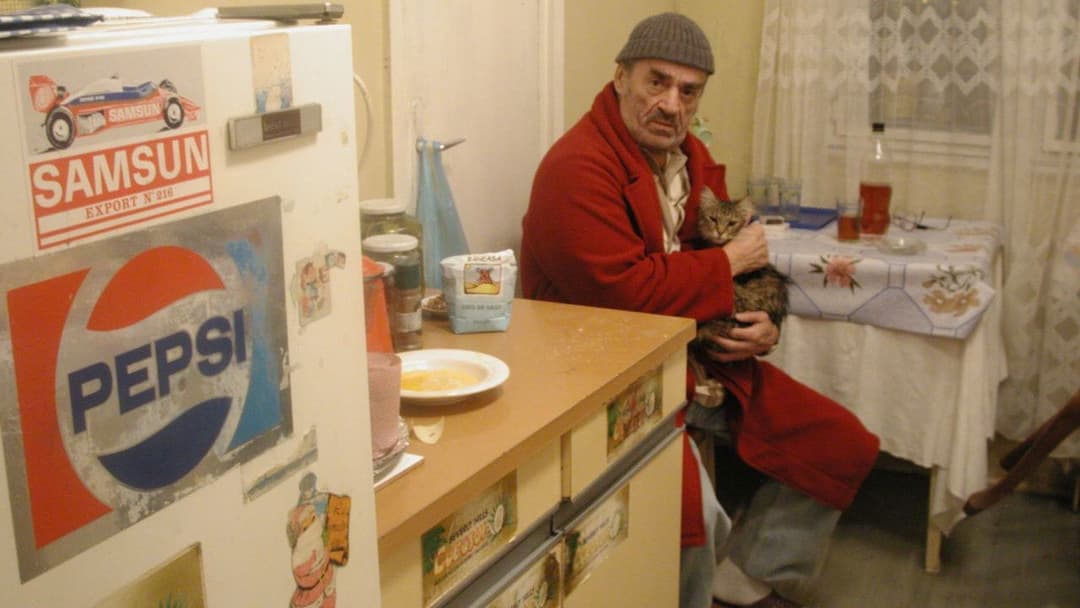 The Death of Mr. Lazarescu backdrop 7