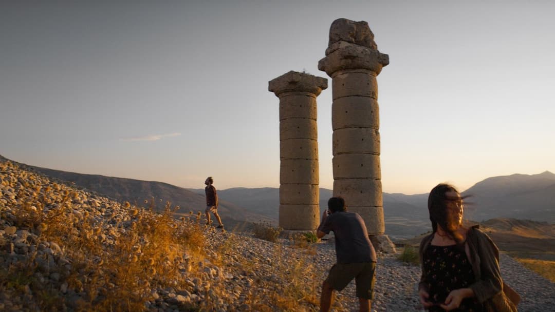 Auf trockenen Gräsern backdrop 11
