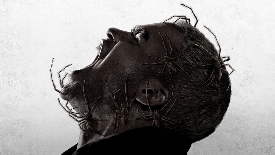 Павуче лігво backdrop 3