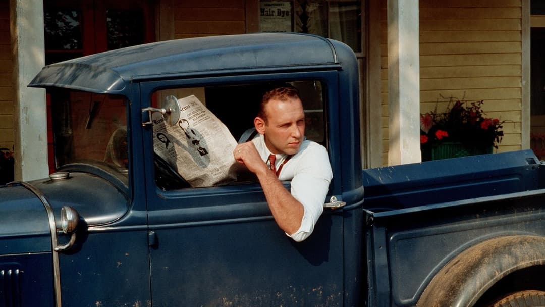 Смажені зелені помідори backdrop 12