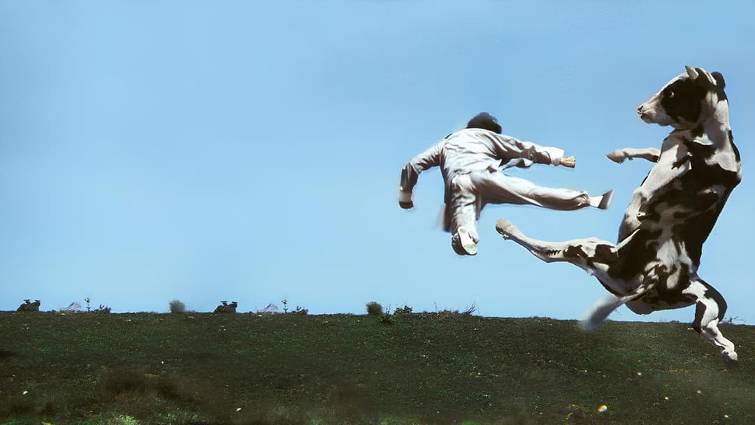 Kung Pow: Enter the Fist backdrop 9