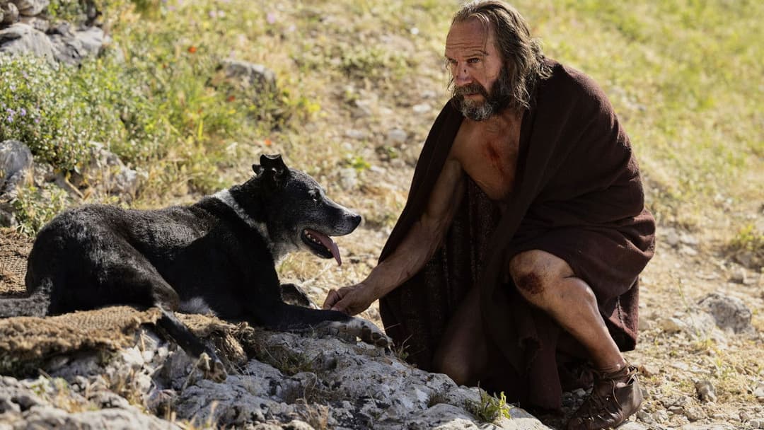 Повернення backdrop 10