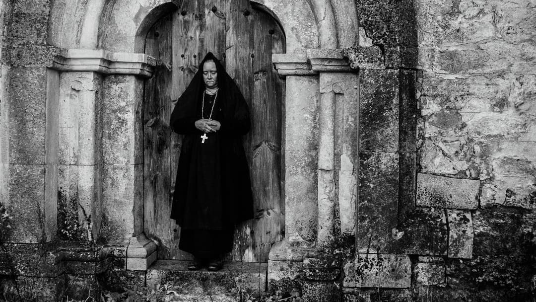 November backdrop 12