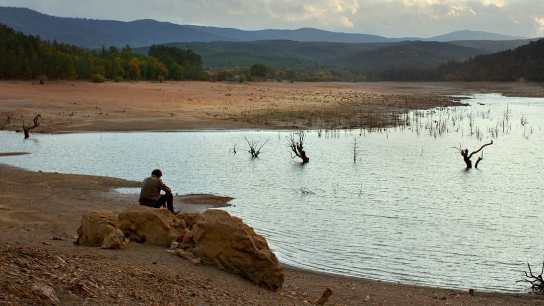 The Wild Pear Tree backdrop 9