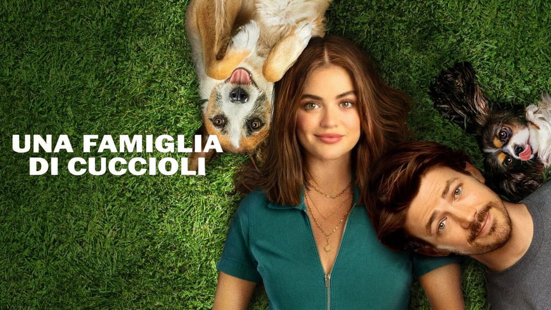 Puppy Love - Hunde zum Verlieben backdrop 10