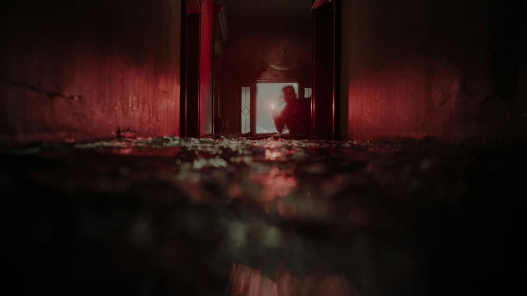 Хижаки backdrop 11