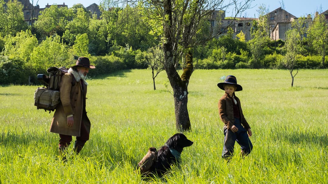 Пригоди маленького Ремі backdrop 13