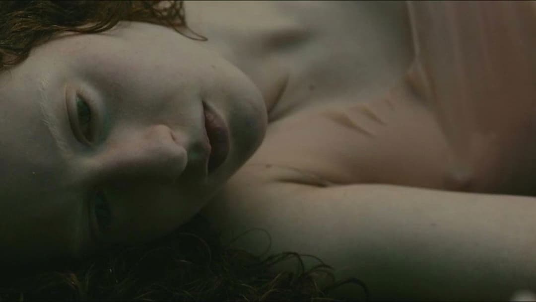 Evolution backdrop 4