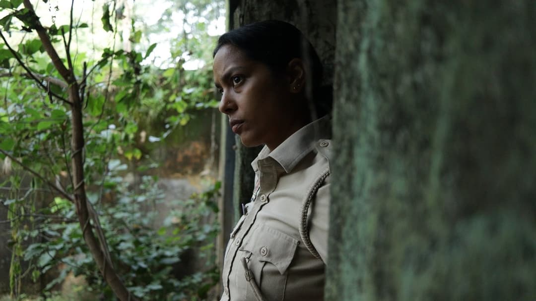 Сантош backdrop 8