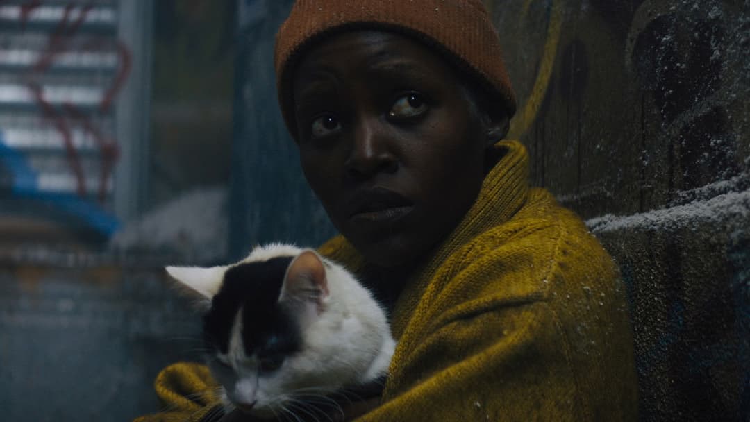 Тихе місце: День перший backdrop 17