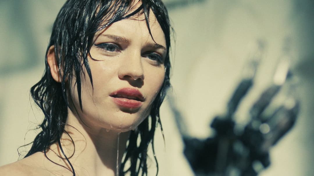 Компаньйон backdrop 16