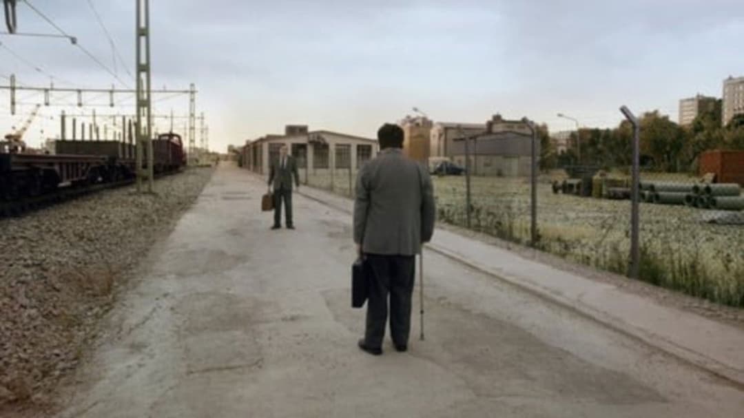 Eine Taube sitzt auf einem Zweig und denkt über das Leben nach backdrop 7