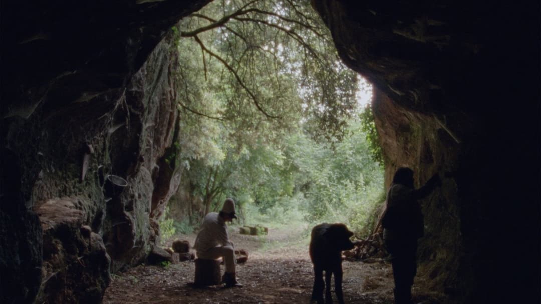 Lost and Beautiful backdrop 7