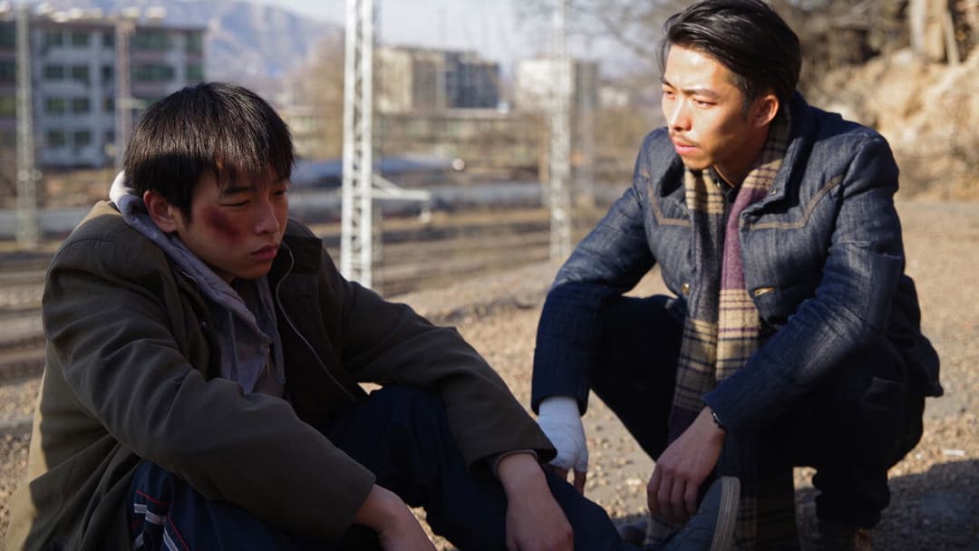 An Elephant Sitting Still backdrop 6