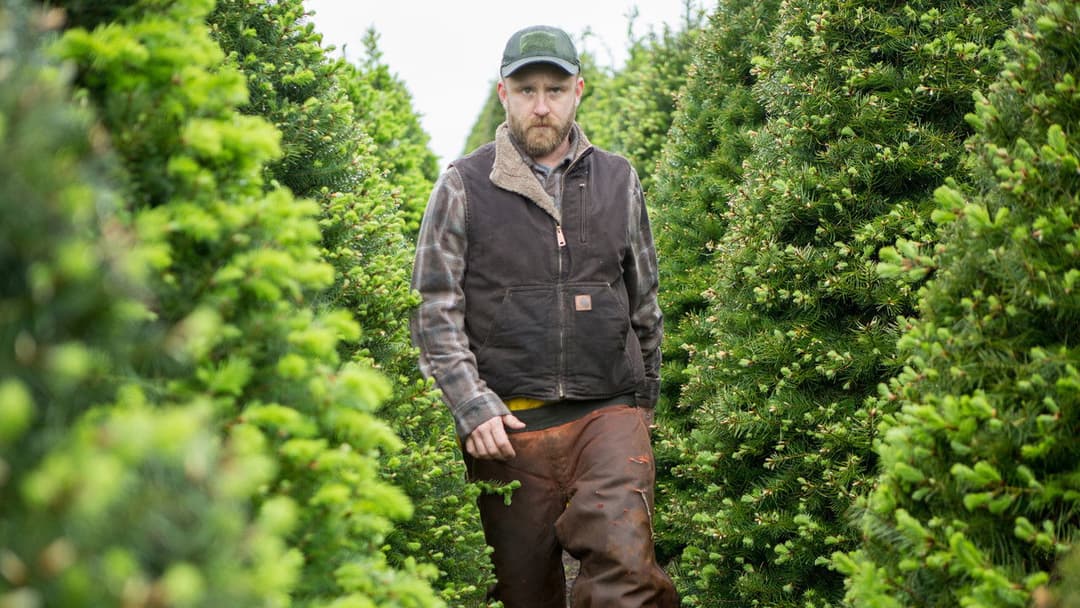 Leave No Trace backdrop 4