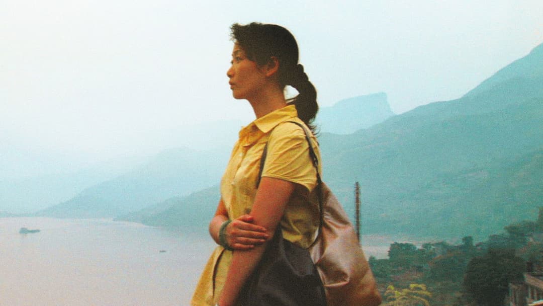 Still Life backdrop 17