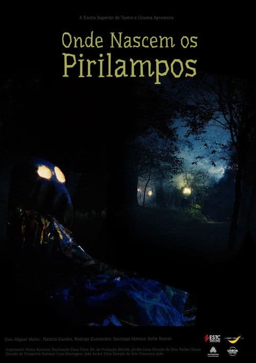 Where Fireflies Are Born