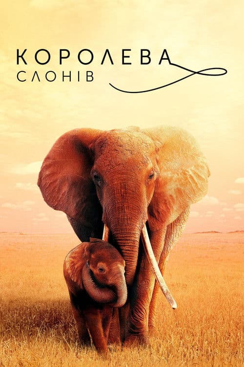 Королева слонів