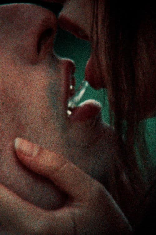 Dressed to's Song of Songs