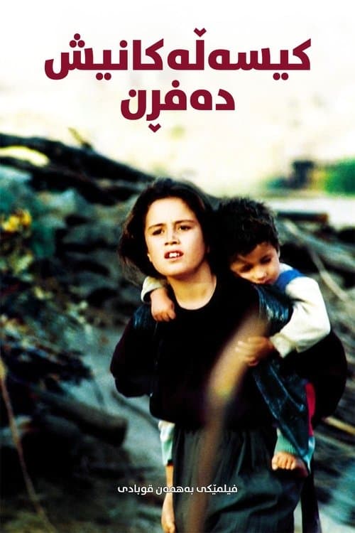 Schildkröten können fliegen