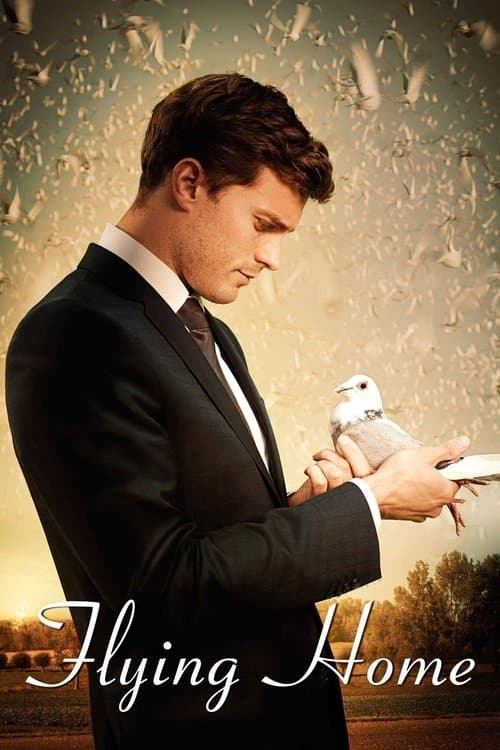 Політ додому