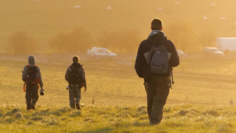 Documentary backdrop