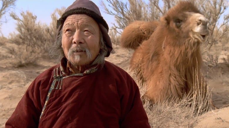 Nature & Wildlife Documentary backdrop