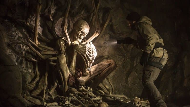 Фон Детективне розслідування