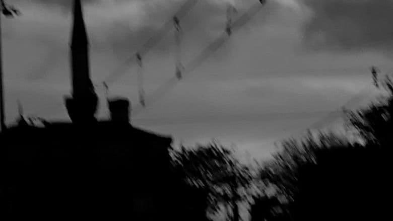 Documentary backdrop