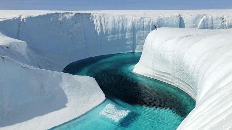 Documentary backdrop