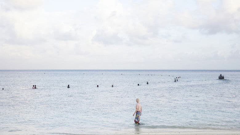 Documentary backdrop