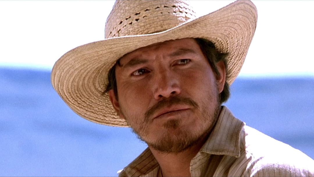 Three Burials - Die drei Begräbnisse des Melquiades Estrada backdrop 10