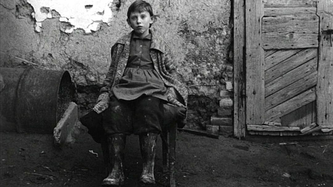 Satantango backdrop 16