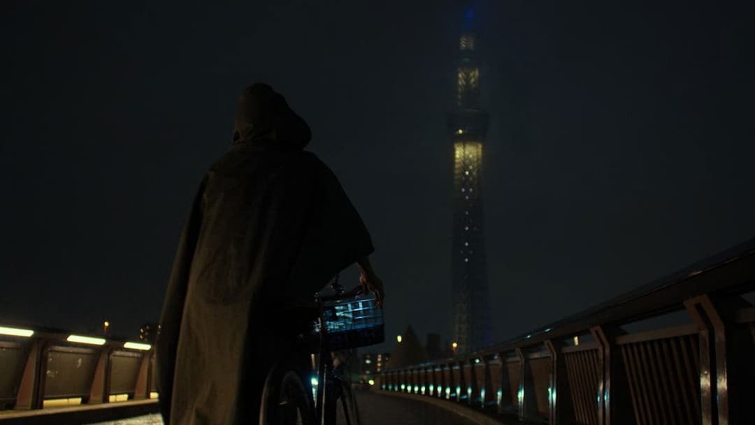 Perfect Days backdrop 18