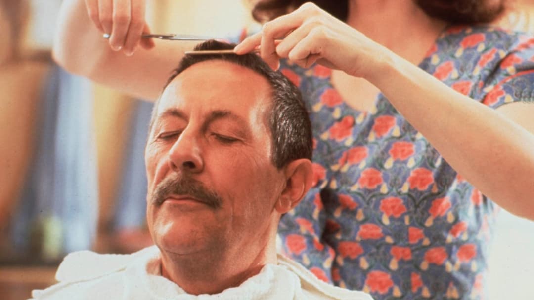 The Hairdresser's Husband backdrop 1