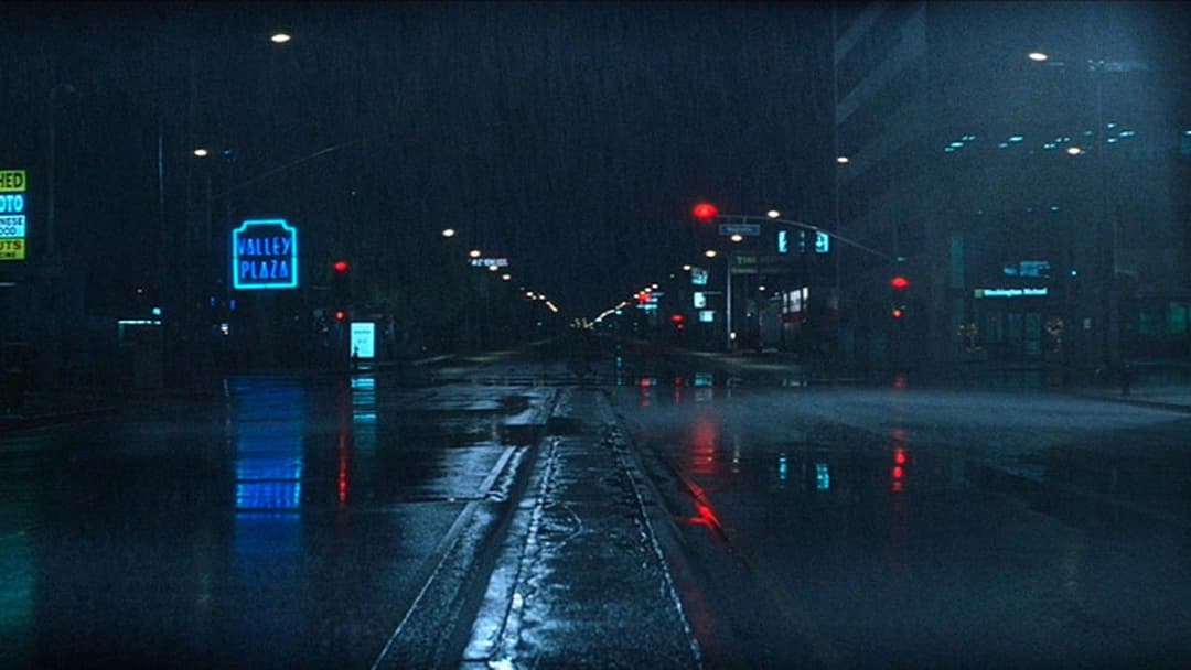 Magnolia backdrop 19