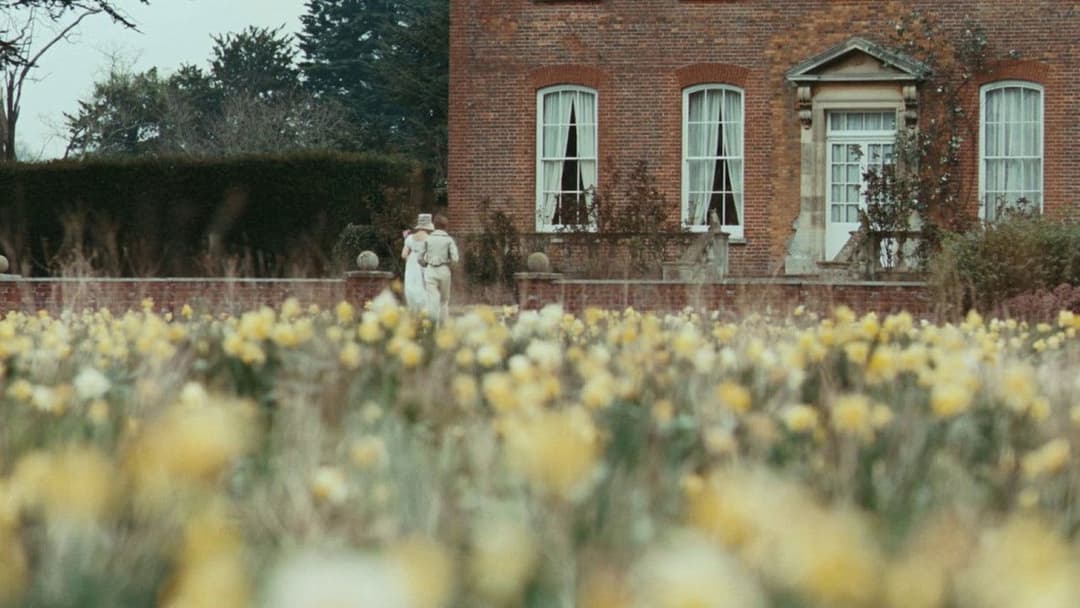 Яскрава зірка backdrop 1