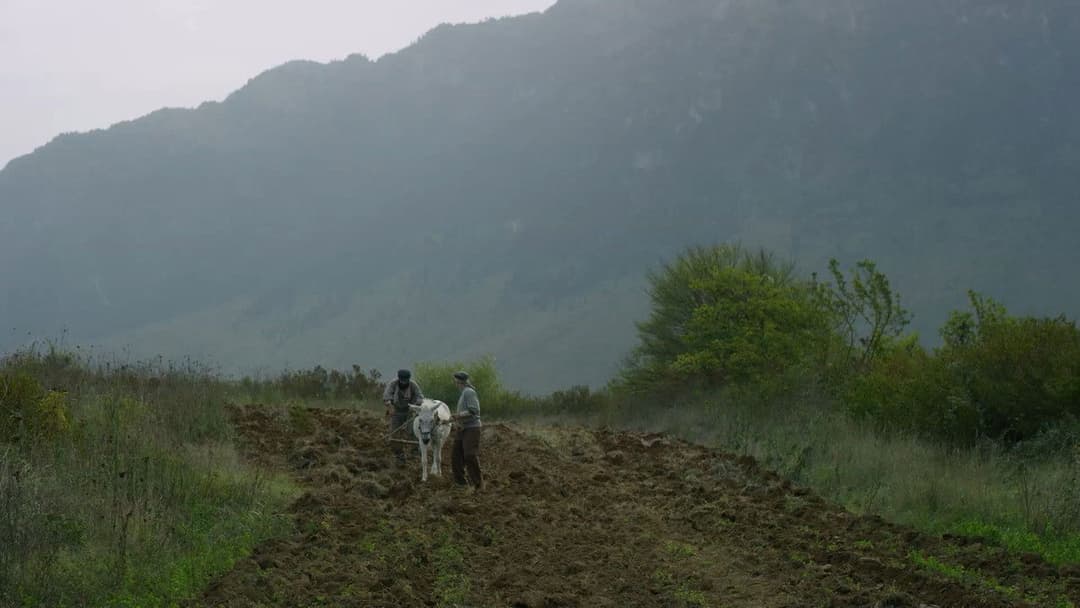 Άγιος Παΐσιος backdrop 17