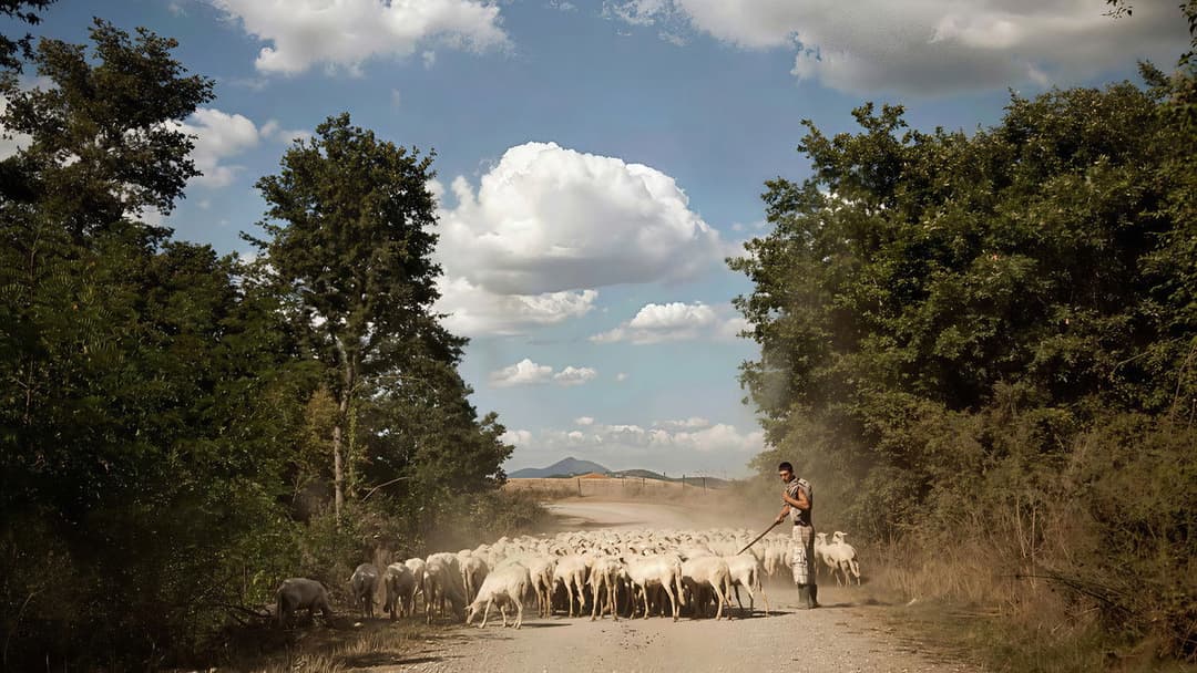 Le meraviglie backdrop 11