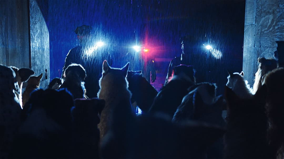 Догмен backdrop 5