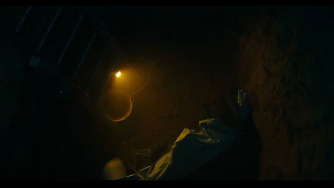 Vivarium backdrop 13