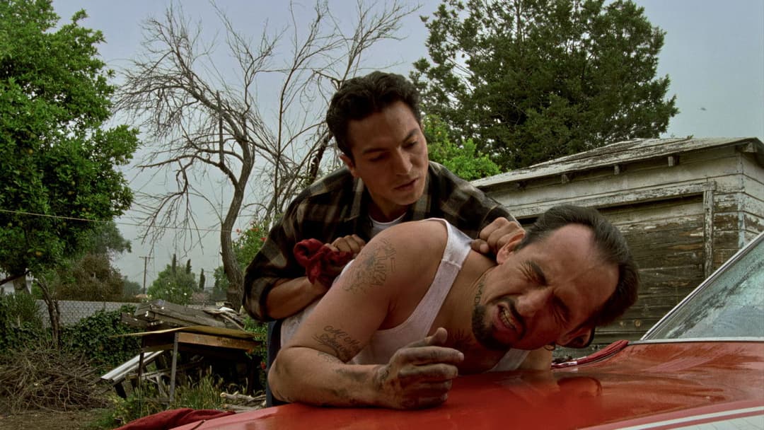 Bound by Honor backdrop 14