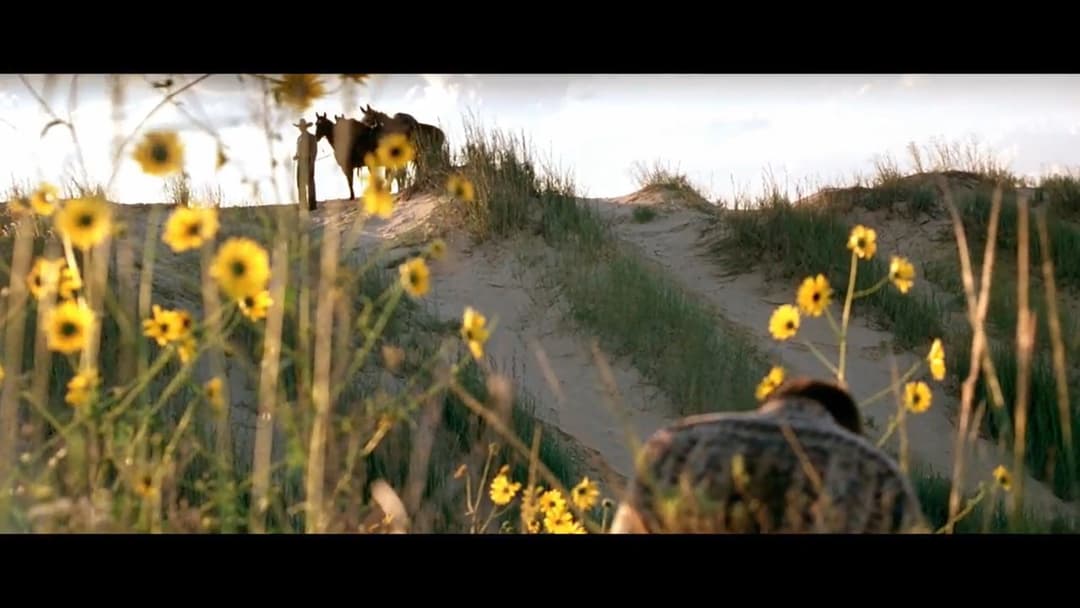 Three Burials - Die drei Begräbnisse des Melquiades Estrada backdrop 5